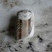 Beach Pottery Owl