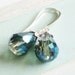 Crystal Teardrop Earrings - Midnight
