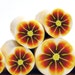 Clearance Sale - 50% off - Polymer clay millefiori cane - Brown, Orange and Yellow Flower