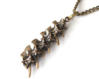 Snake Vertebrae Necklace - Solid Bronze Rattlesnake Vertebrae Pendant Necklace 035