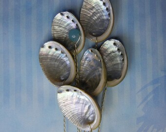 Six Baby Abalone Seashell Stems - Seashells for Wedding Bouquet Bridal Bouquet or Centerpieces
