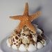 Wedding Cake Topper - Spice Island - Seashell Starfish Wedding Cake Topper