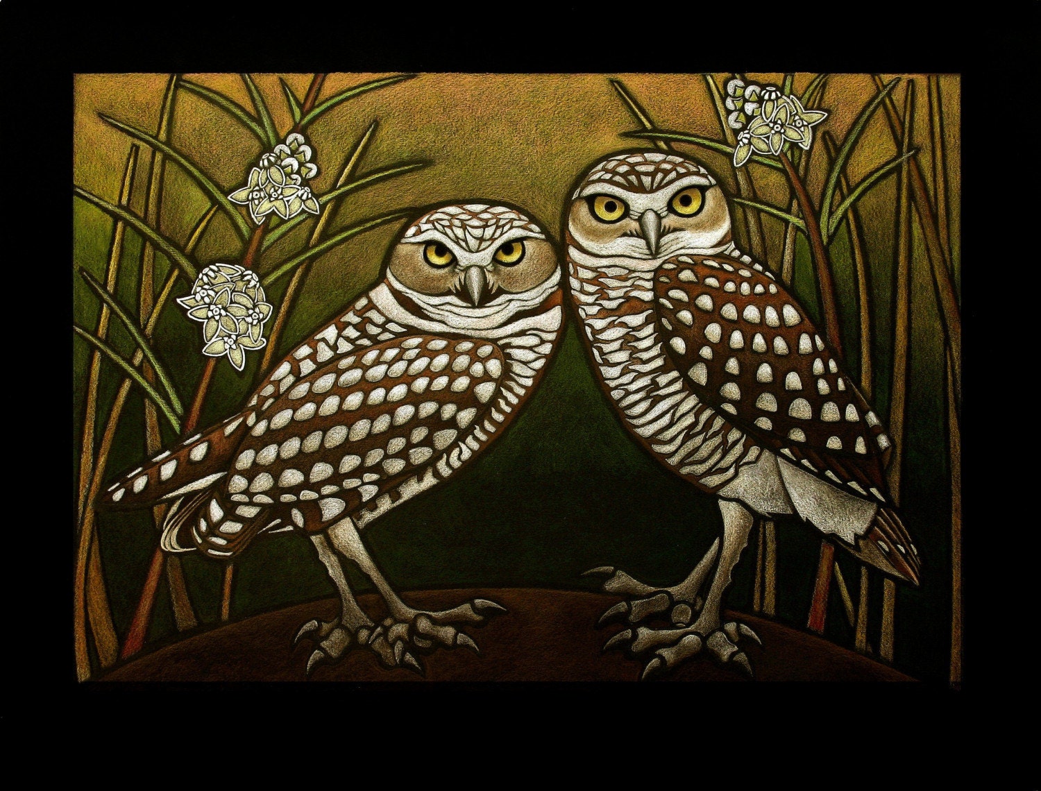 burrowing-owls-endangered-narrowleaved-milkweed