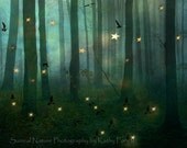 Nature Photography, Fairy Lights Green Woodlands, Twinkling Stars Birds Fantasy Photo, Fantasy Sparkling Fairytale Nature Trees Forest Print Nature Photography, Fairy Lights Green Woodlands, Twinkling Stars Birds Fantasy Photo, Fantasy Sparkling Fairytale Nature Trees Forest Print