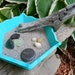 Relaxing Zen Garden with Natural Beach Treasures One of a Kind Home Decor