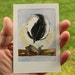 Original watercolor painting / ACEO / Birds in our garden series no. 21 / Chickadee with Sunflower Seed