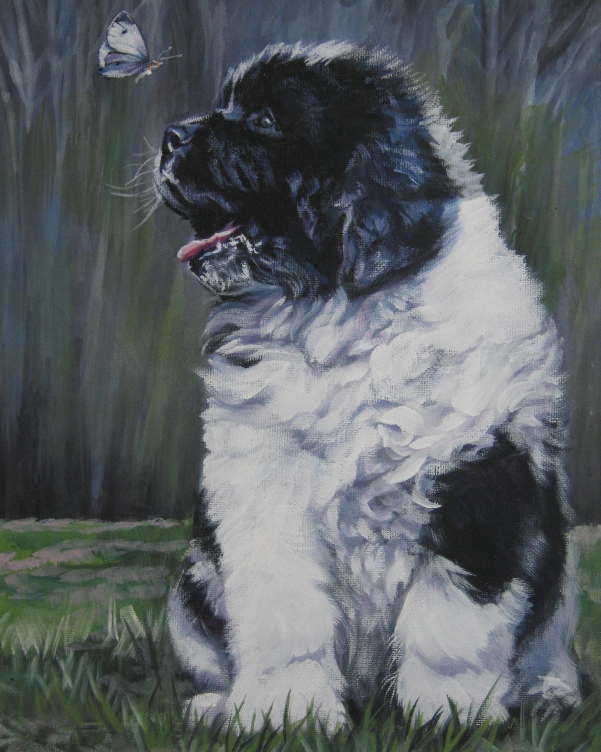 landseer Newfoundland dog art CANVAS print of LA Shepard dog