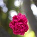HALF OFF SALE Pink Peony Flower Necklace << Bridesmaid Jewelry >> Bridesmaid Gifts << Wedding Party Gifts >>