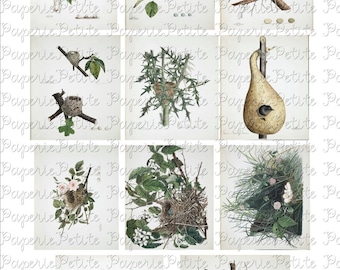Bird Nests Digital Download Collage Sheet