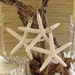 Reserved for Kalyn, Beach Wedding or Coastal Christmas Starfish Decorative Ornaments