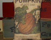 Pumpkin Seed Tuck Pillow