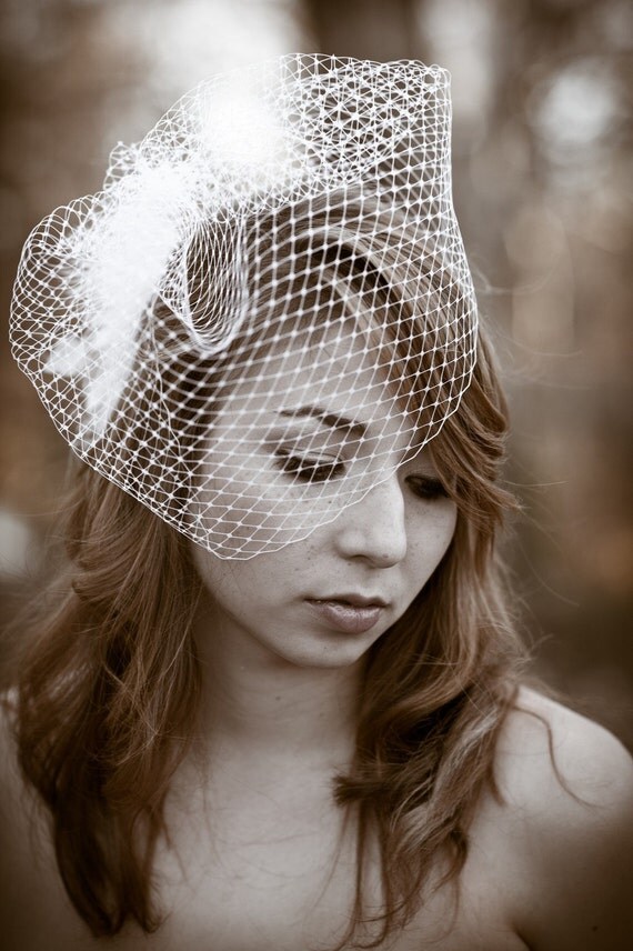 Vintage Birdcage Veil 4