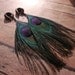 Peacock Feather Gauges