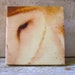 Barn Owl Painting Small Art Nature 6x6 Gift Him Her Wood Encaustic Beeswax Ready to Ship