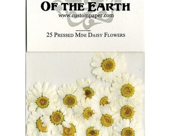Mini Daisy Pressed Flowers - pack of 25 1 inch diameter yellow center white petal (great for iphone art)