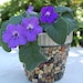 Stone Pebble and Glass Mosaic Flower Planter