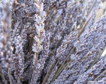 Organic Dried Lavender 5 bunches