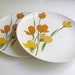 Vintage Dinner Plates by Daphne Ironstone - Yellow & Orange - Set of Two