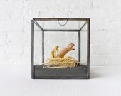 25% SALE - TOO LATE to Save the Baby- Cobra Skeleton Preserved in Glass Display Box with Baby Doll - One Of A Kind