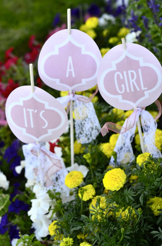 Girly Pink Baby Shower PRINTABLE Party Yard Signs (INSTANT DOWNLOAD) by Love The Day Il_570xn
