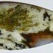 Saginite Plume Designer Cabochon (703-Y)