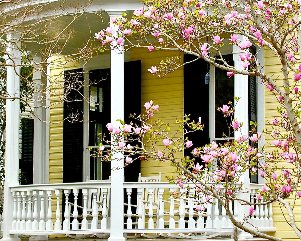 Living Room Southern Decor southern decor spring photography charleston by vitanostra