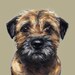 Border Terrier - Collectable Ltd. Ed. Fine art print