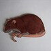SALE Fancy Rat Brown Agouti Rat Magnet OR Badge