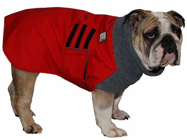 Bulldog Winter Coat
 ENGLISH BULLDOG Winter Coat Winter Coat Dog by VoyagersK9Apparel