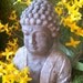 Buddha Head, Concrete Statue,