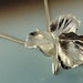 Orchid - Sterling Silver Orchid Pendant - Hand Sculpted by Me