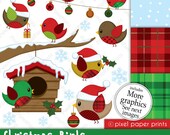 Christmas clipart - Christmas Birds - Clip art and Digital paper set Il_170x135