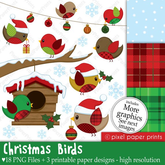 Christmas clipart - Christmas Birds - Clip art and Digital paper set Il_570xn