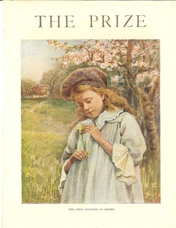 1910 Antique Chidren's Print  Young Girl Smock Lace Cuffs Admiring Daffodil Spring Field Of Daffodils Cherry Blossom Book Plate