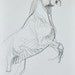 Original Reared Up Horse Sketch 170