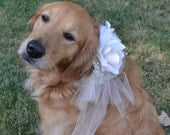 Flower Dogs: gorgeous tulle collar in custom colors - fuss-free wedding dog collar