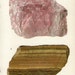 Antique Prints, 1950s Precious Stones and Minerals, beautiful wall art vintage coloured illustration gems jewels