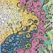 Natural elements drawing, romantic natural floral stylization, original art drawing, interior decoration - Graphic art drawing XIX