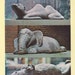The Bronze Zoo by Shay Rieger