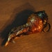 Taxidermy Armadillo Paw Keychain Throwing Up Horns Devil Foot Satanic Weird Crazy