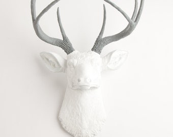 Faux Deer Head Wall Mount - The Helena - White Deer Head W/ Gray Antlers - Resin Stag & Animal Heads by White Faux Taxidermy