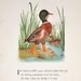 RESERVED listing for Gillian6010: Mallard Duck and Snow Goose Bird Children- 1912 Vintage Childrens Illustration