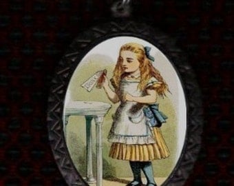 Alice in Wonderland Drink Me Necklace Vintage Gothic Lewis Carroll Pendent New