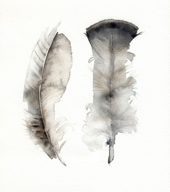 Turkey Feathers- archival print, feather art, feather watercolor