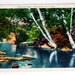 Vintage Postcard, Cherokee Park, Louisville, Kentucky