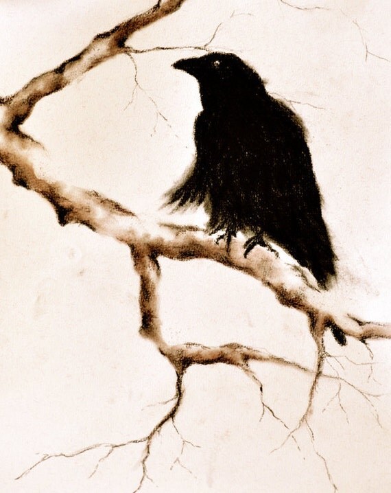 Original Charcoal Drawing Raven on a Branch Crow by AbstractArtM