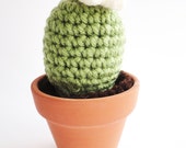 Crochet Cactus Amigurumi Plant Notocactus