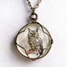 Owl Pendant - hand tinted owl wire wrapped in brass behind a glass cabochon - Halloween Jewelry - Owl Necklace
