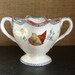 ANTIQUE Railroad China Marked Union RR Butterflies Bugs Bows Flowers American Rail Road Rare Railroad Line Restaurant Car China Cool Bugs