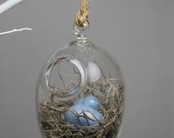 hand blown glass bird nest terrarium with two glass eggs